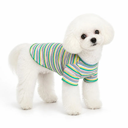 small dog wearing a Green Trim Rainbow rainbow striped cotton dog sweatshirt