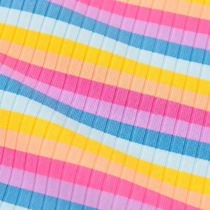 Pink Trim Rainbow rainbow striped cotton dog sweatshirt product detail