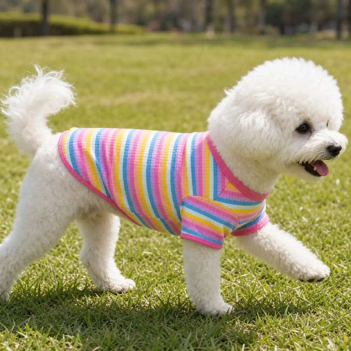 Pink Trim Rainbow rainbow striped cotton dog sweatshirt lifestyle view