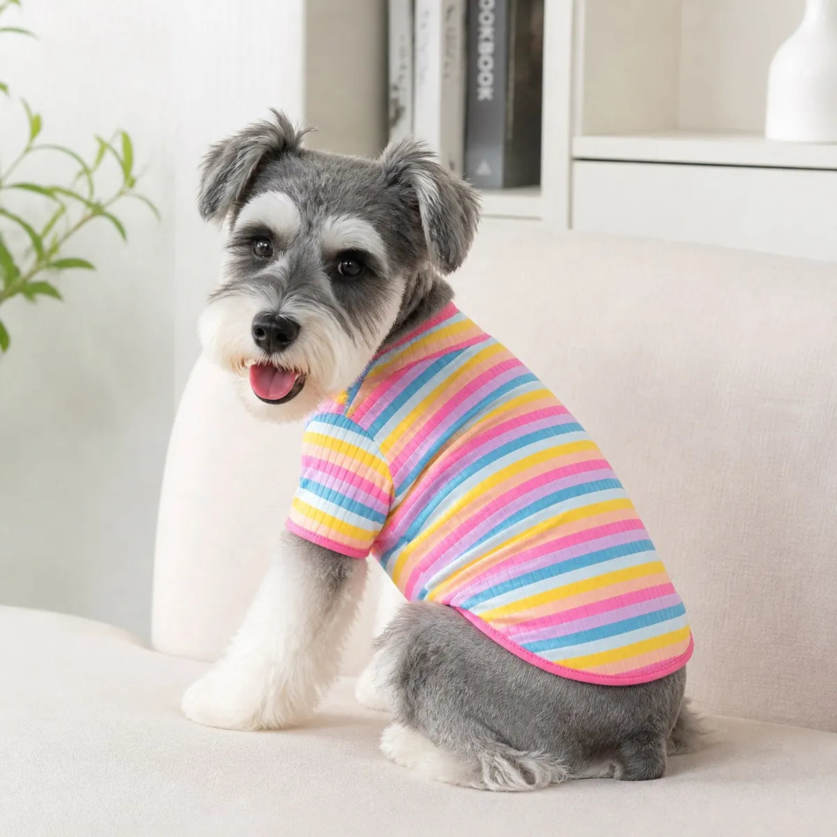 Pink Trim Rainbow rainbow striped cotton dog sweatshirt feature view
