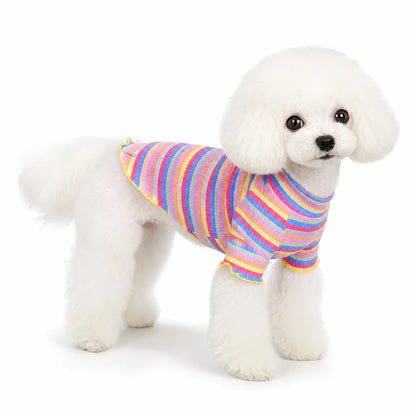 small dog wearing a Yellow Trim Rainbow rainbow striped cotton dog sweatshirt