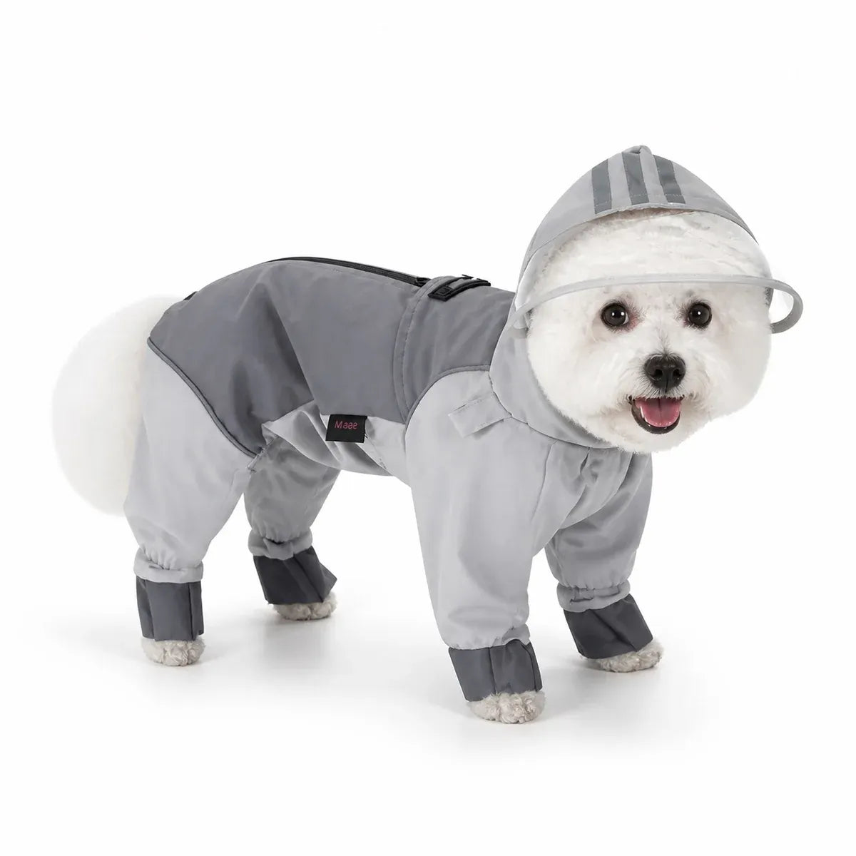 Gray reflective full-coverage dog raincoat worn by a pet on a white background