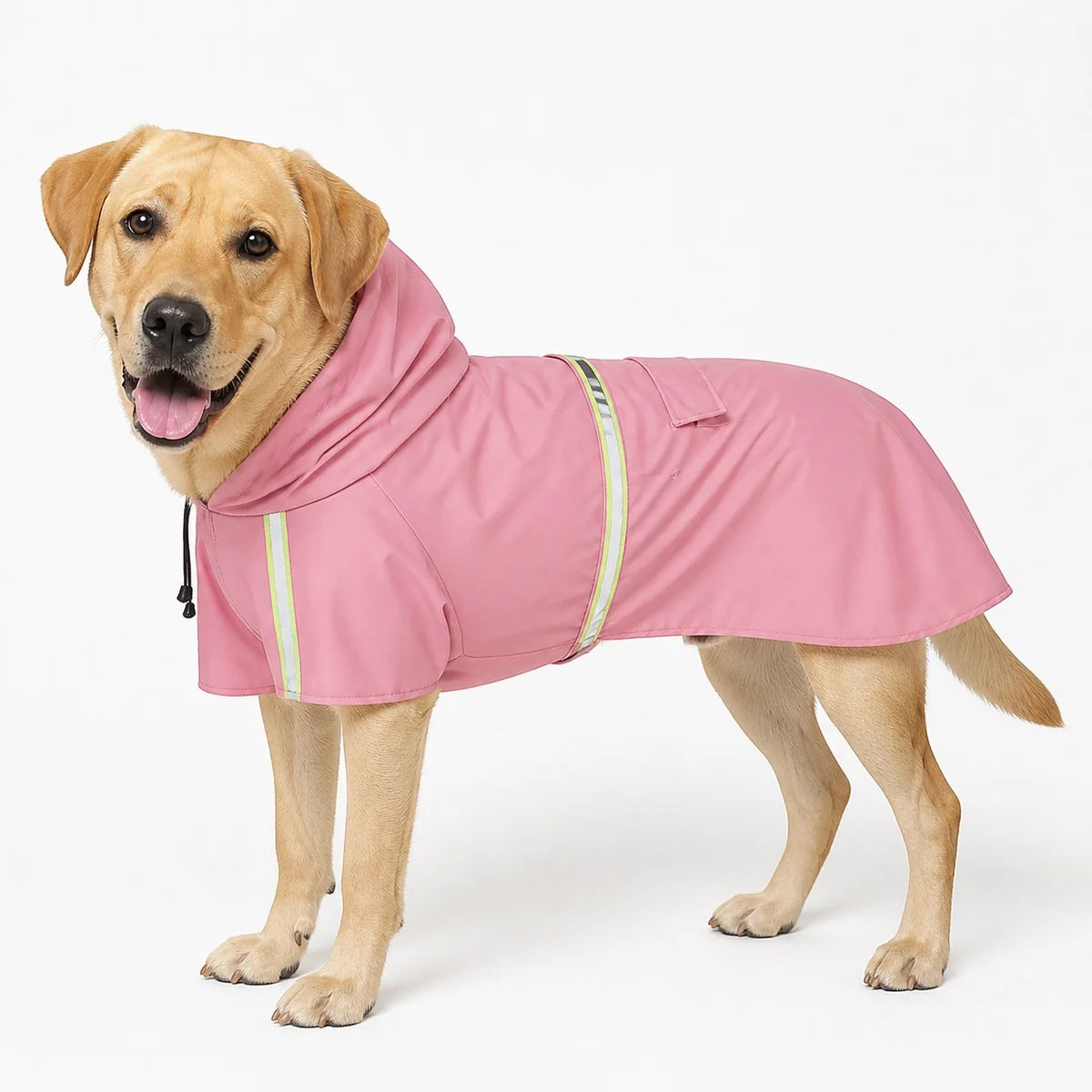Red colorway 03 reflective hooded dog raincoat worn by a pet on a white background, image 5
