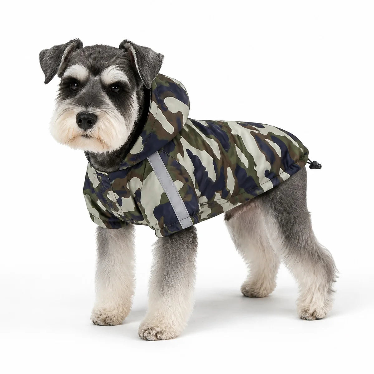 Green reflective outdoor dog rain jacket worn by a pet on a white background, image 3