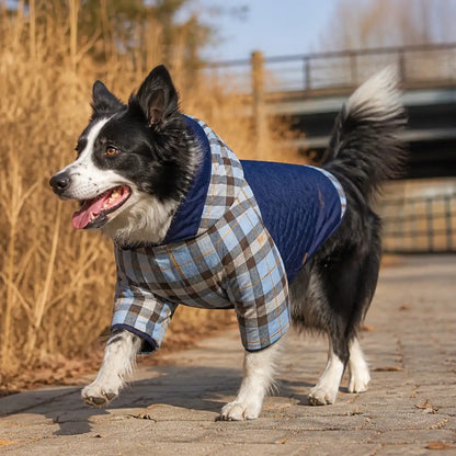 Blue reversible padded dog coat lifestyle view