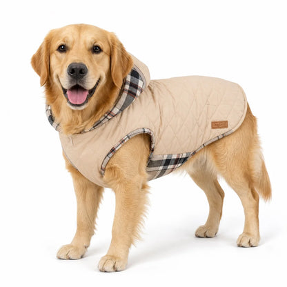 large dog wearing a Cream reversible padded dog coat