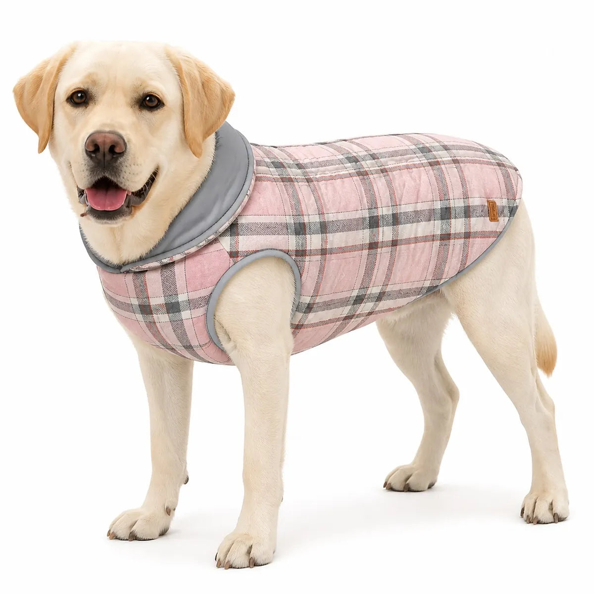 large dog wearing a Pink reversible padded dog coat