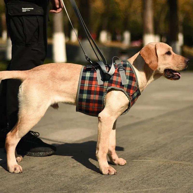 Senior Dog Rear Leg Support Harness - Gentle Mobility Support for Weak Hind Legs