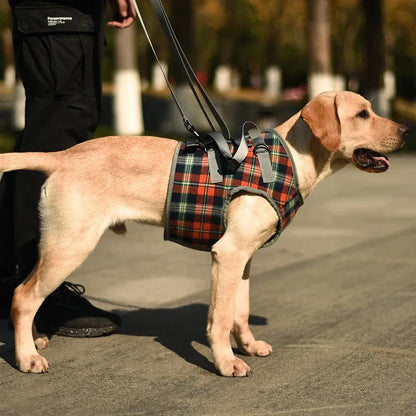 Senior Dog Rear Leg Support Harness - Gentle Mobility Support for Weak Hind Legs