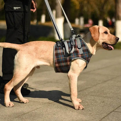 Senior Dog Rear Leg Support Harness - Gentle Mobility Support for Weak Hind Legs