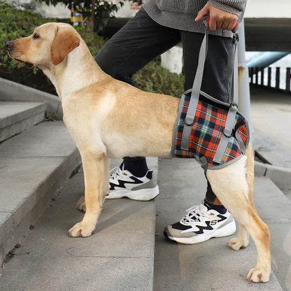 Senior Dog Rear Leg Support Harness - Gentle Mobility Support for Weak Hind Legs