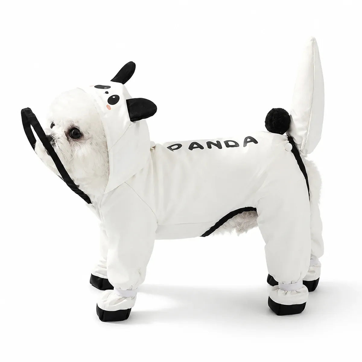 Small dog wearing a white panda print rainwear suit with black trim on white background