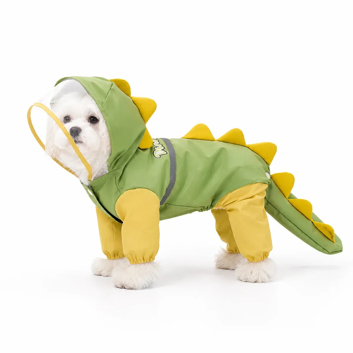 Small dog wearing a green dinosaur rainwear suit with yellow spikes on white background