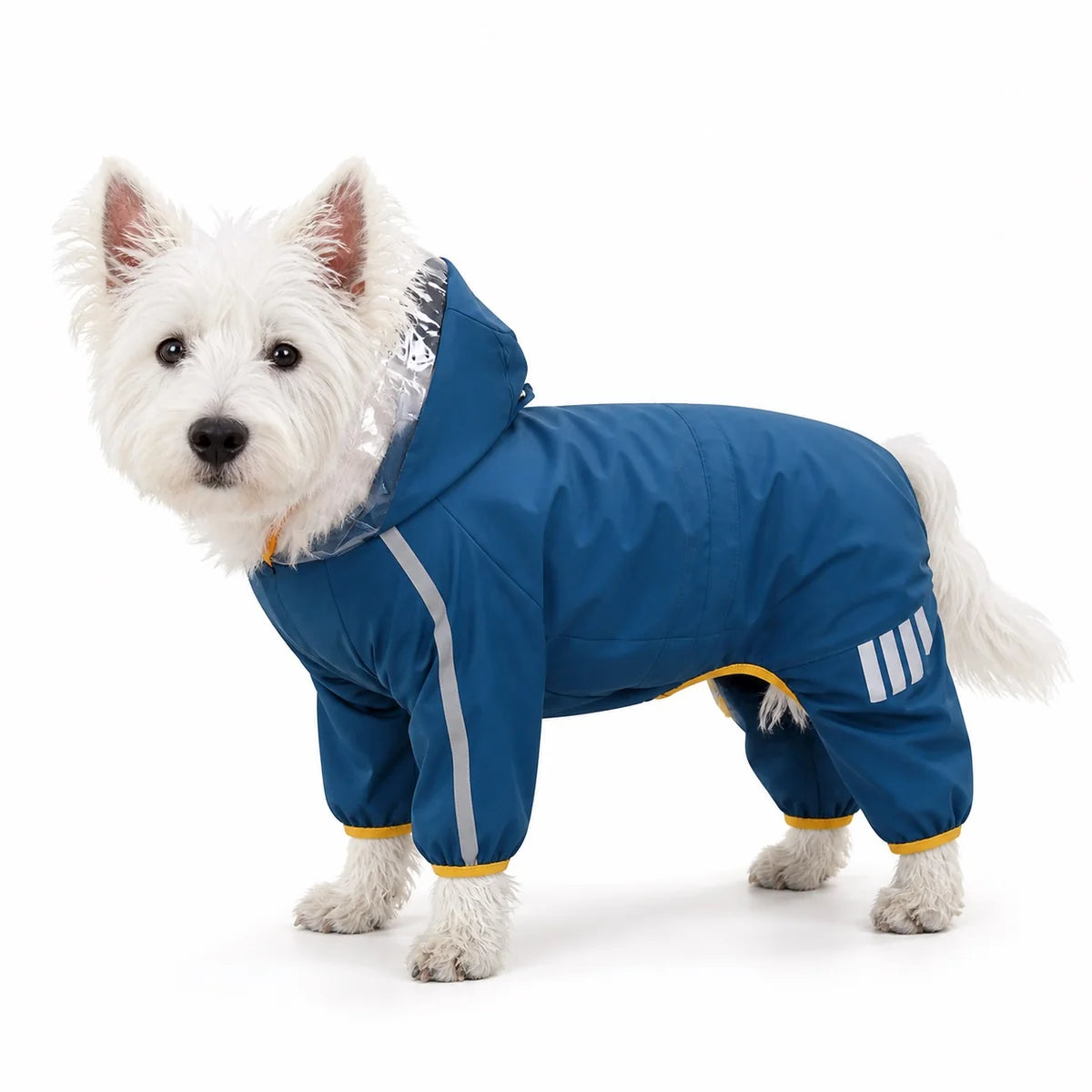 Blue clear visor small dog four-leg raincoat worn by a pet on a white background, image 7