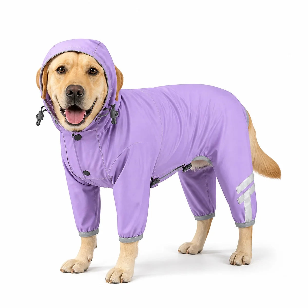 Purple standard hood small dog four-leg raincoat worn by a pet on a white background, image 5