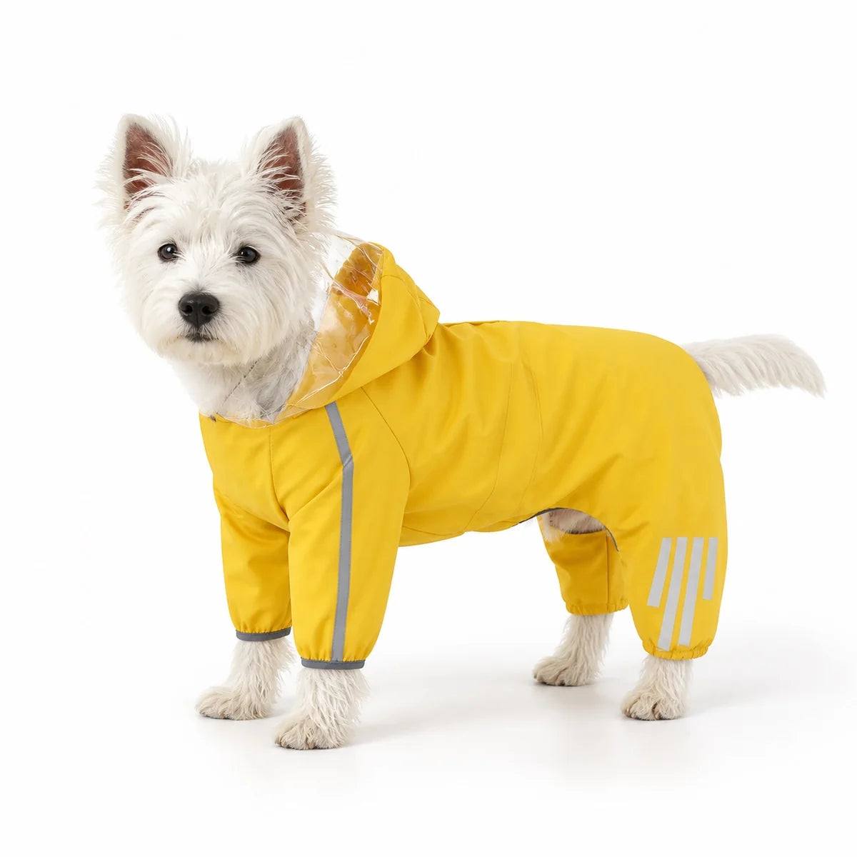 Yellow clear visor small dog four-leg raincoat worn by a pet on a white background, image 8