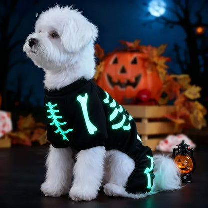 Small white dog wearing a glow-in-the-dark skeleton dog costume at night
