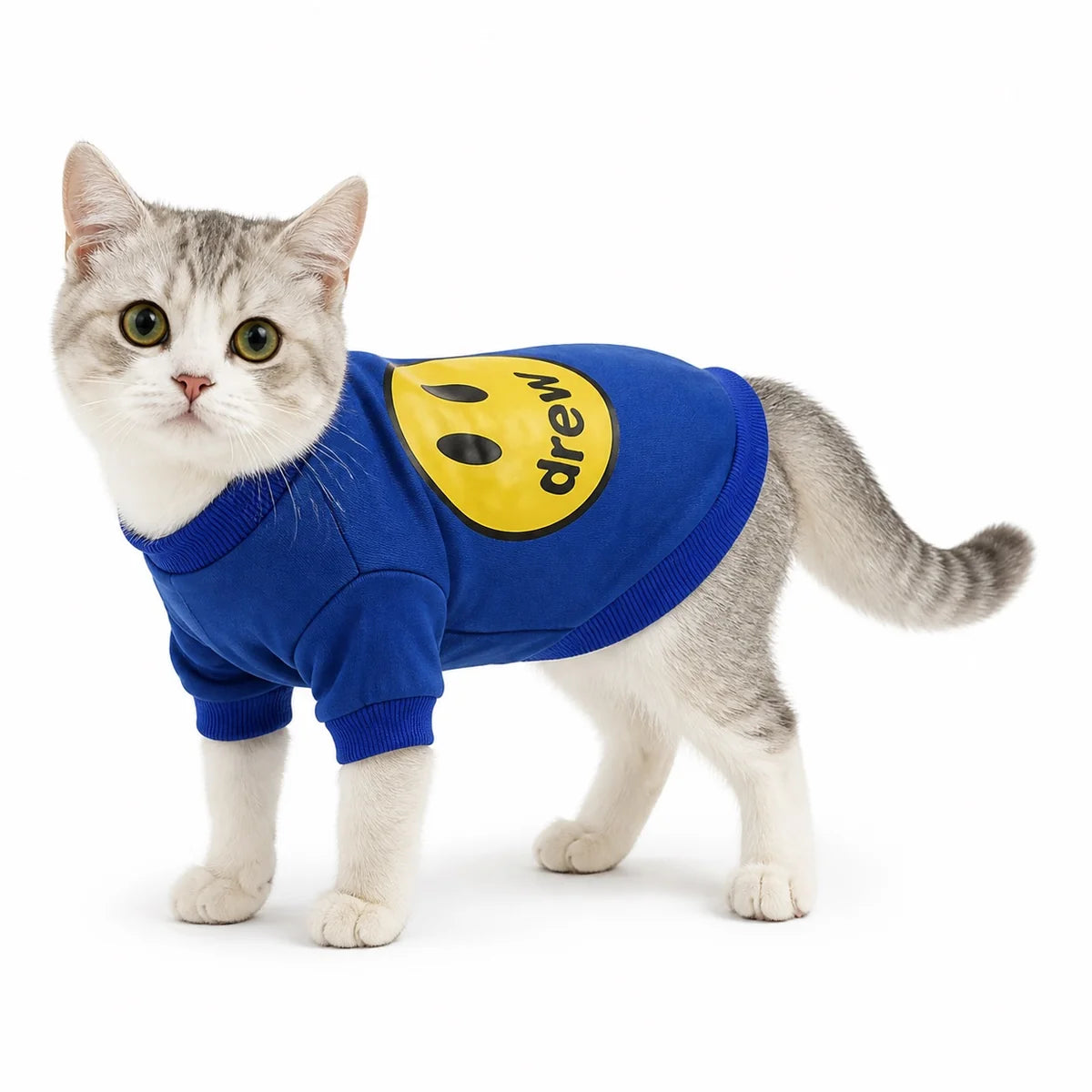 Blue smile patch pet sweatshirt worn by a pet on a white background