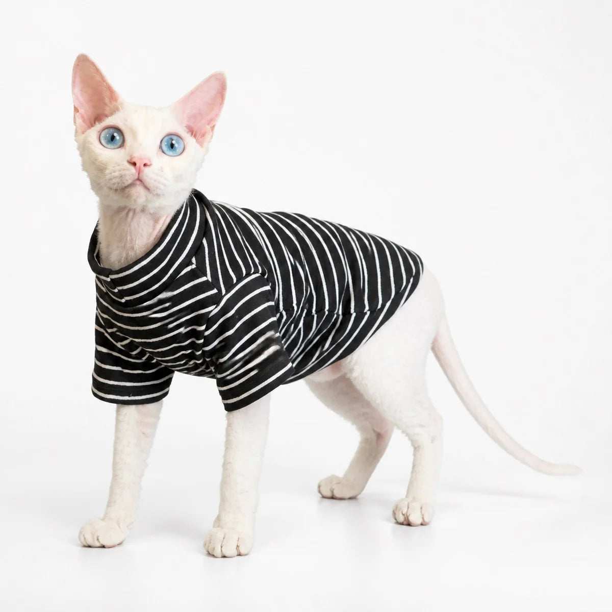 Black striped cat bodysuit worn by a pet on a white background