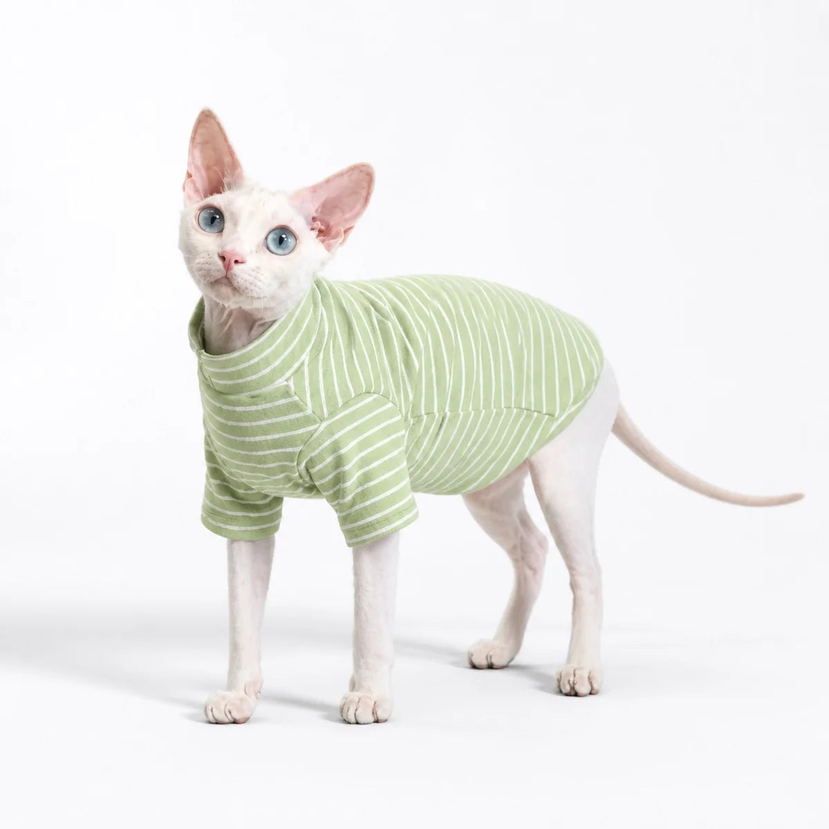 Green striped cat bodysuit worn by a pet on a white background