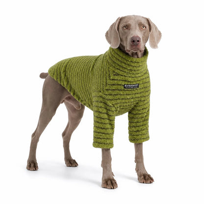 large dog wearing a Green striped fleece dog sweater