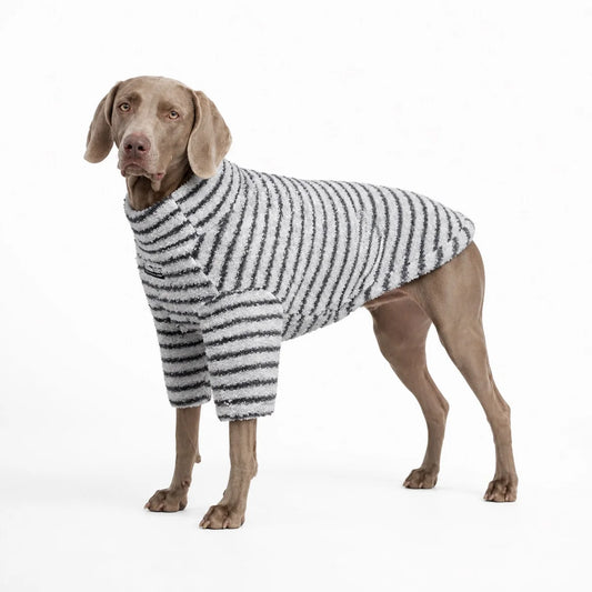 large dog wearing a White striped fleece dog sweater