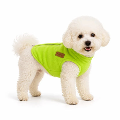 Yellow Teal Padded Dog Vest worn by a dog on a white background