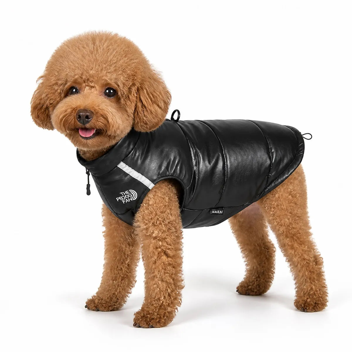 dog wearing a Black warm dog vest