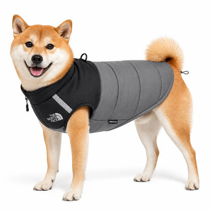 dog wearing a Dark Gray warm dog vest