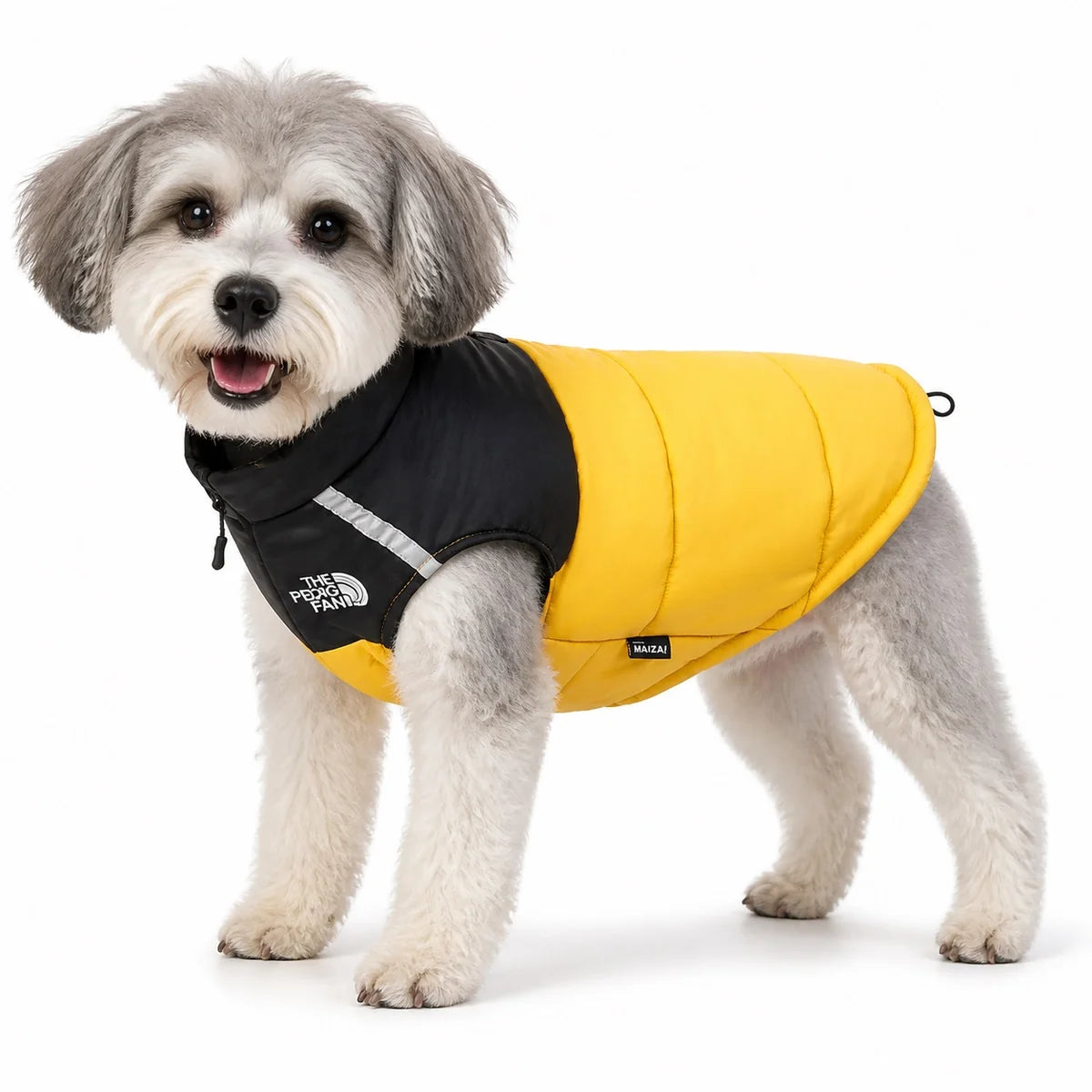 dog wearing a Yellow warm dog vest