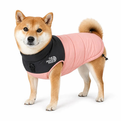 Pink water-resistant padded dog coat worn by a pet on a white background, image 5