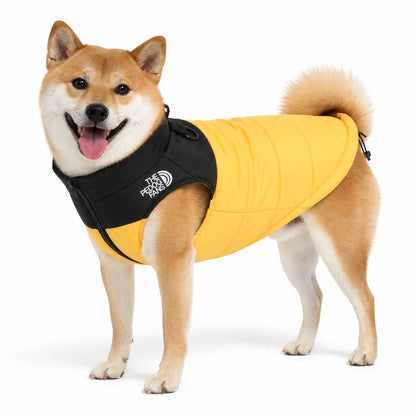 Yellow water-resistant padded dog coat worn by a pet on a white background, image 4